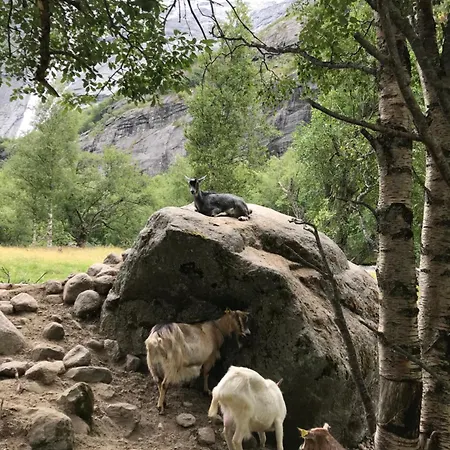 Tinyhouse - Modern Living Vakantiehuis Olden