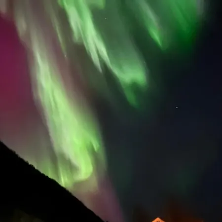 Vakantiehuis Tinyhouse - Modern Living *