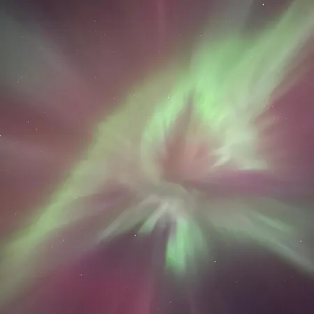 Tinyhouse - Modern Living 度假居 *