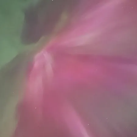 Tinyhouse - Modern Living * 奥尔登