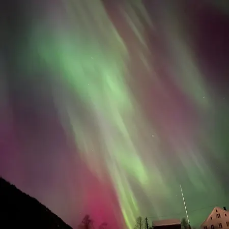 Vakantiehuis Tinyhouse - Modern Living Olden